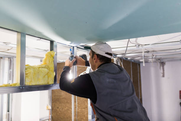 Best Blown-in Insulation in Abbeville, LA
