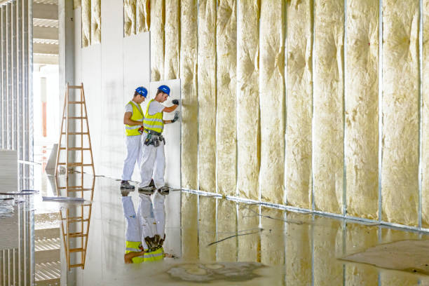 Best DIY Insulation Kits and Guidance in Abbeville, LA